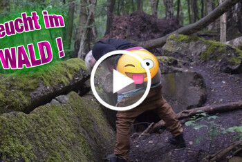 YoungKim: Feucht im Wald