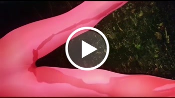 saltnpepper: Im Wald gepisst